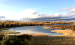 Auf Forschungsreise: Kautokeino, Lappland