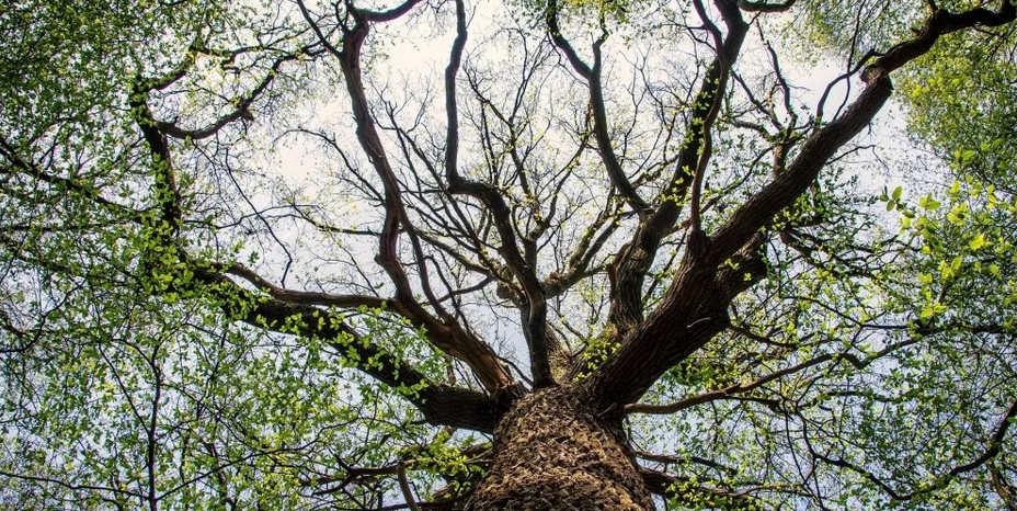 „Unter Waldmenschen“ – Porträtprojekt