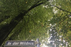 A-in-der-wildnis
