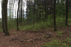 astkreis