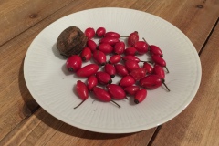 hagebutten